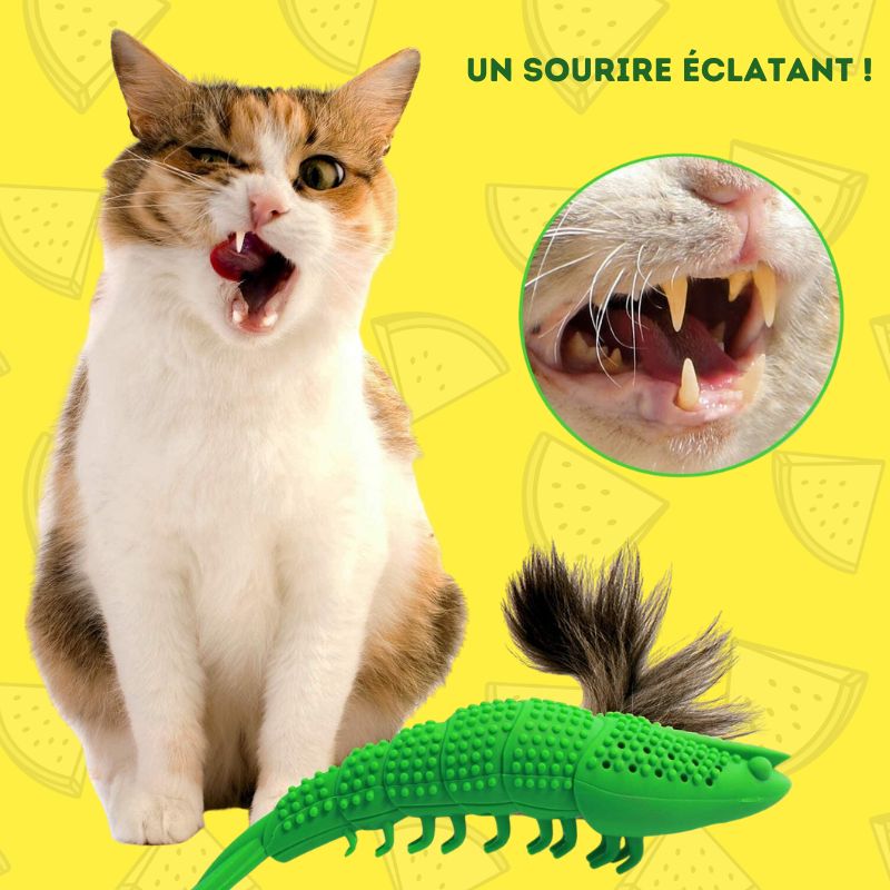 Cepillo de dientes para gatos | Denticat™