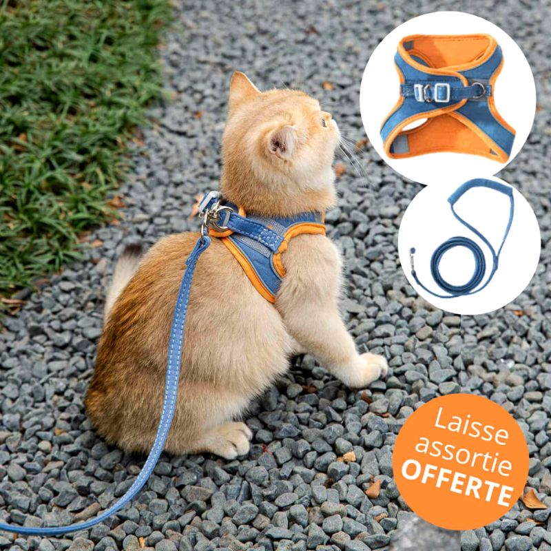 Arnés para gatos | HarnessCat™
