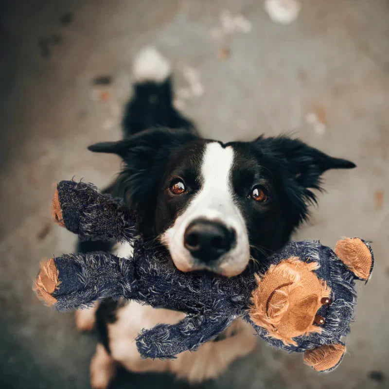 Juguete masticable indestructible para perros