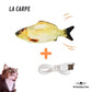 Peces para Gato | CatsFish™