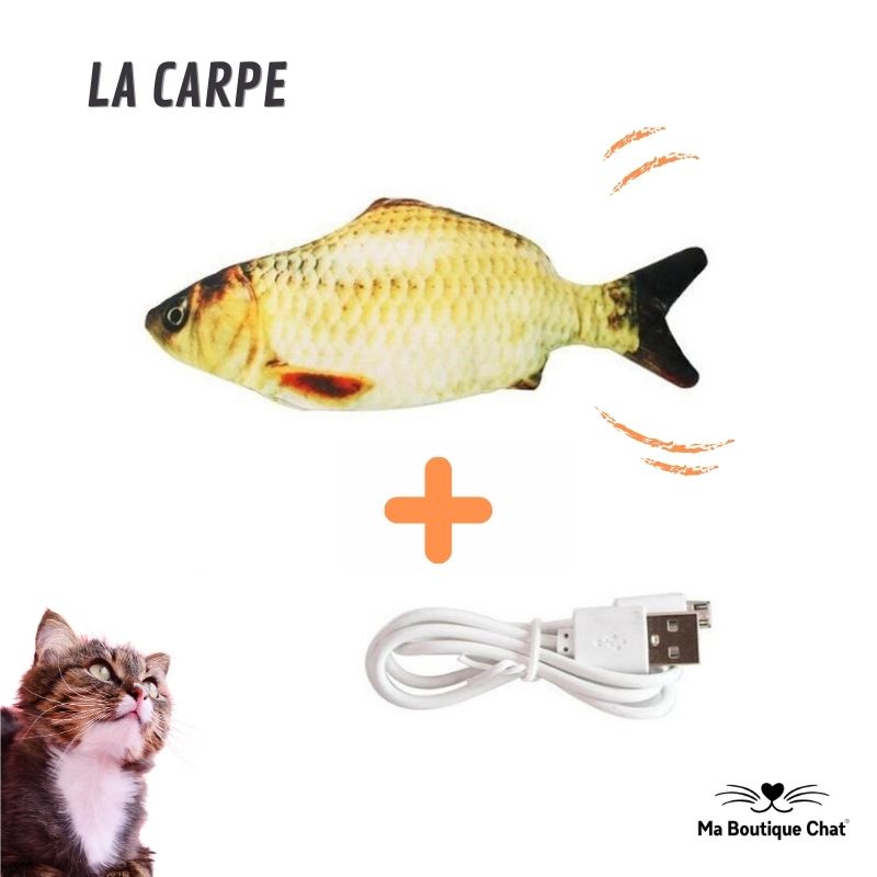 Peces para Gato | CatsFish™