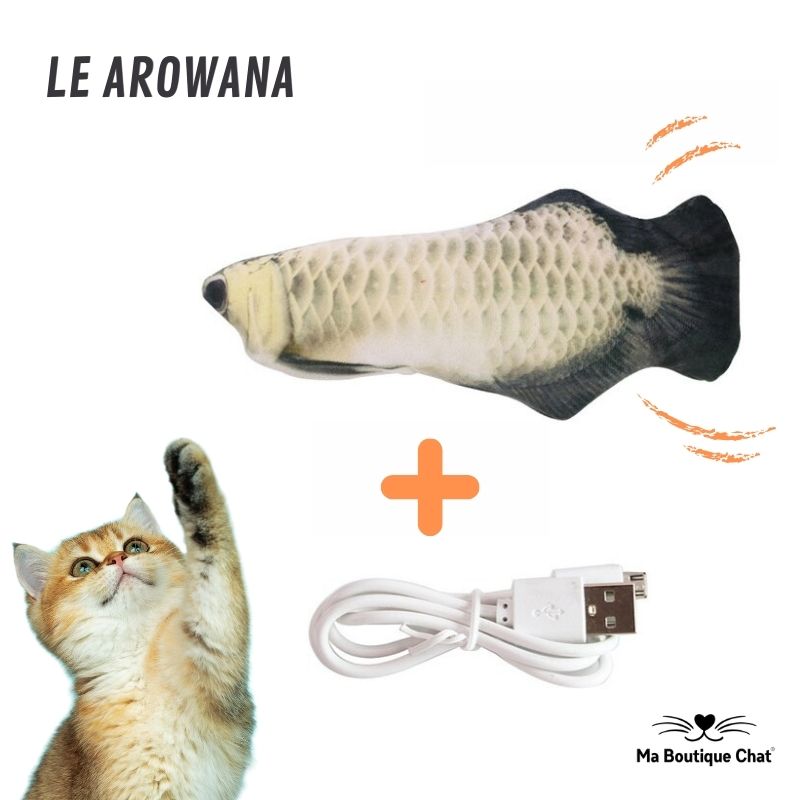 Peces para Gato | CatsFish™