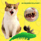 Cepillo de dientes para gatos | Denticat™