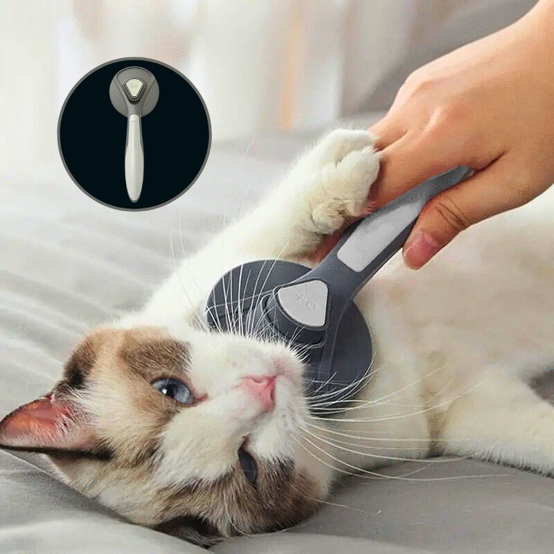 Cepillo para gatos | CatBrush™