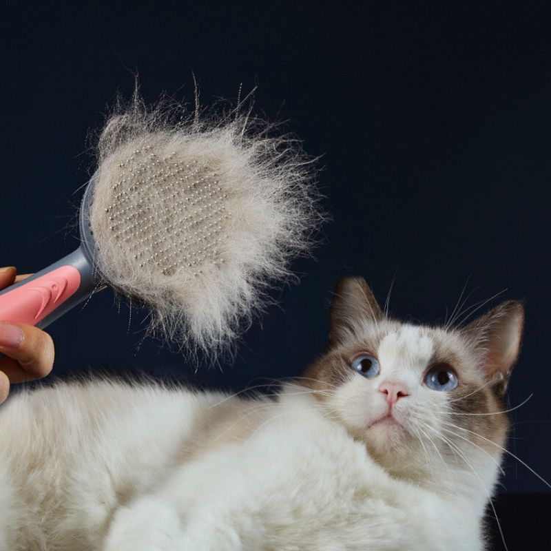 Cepillo para gatos | CatBrush™