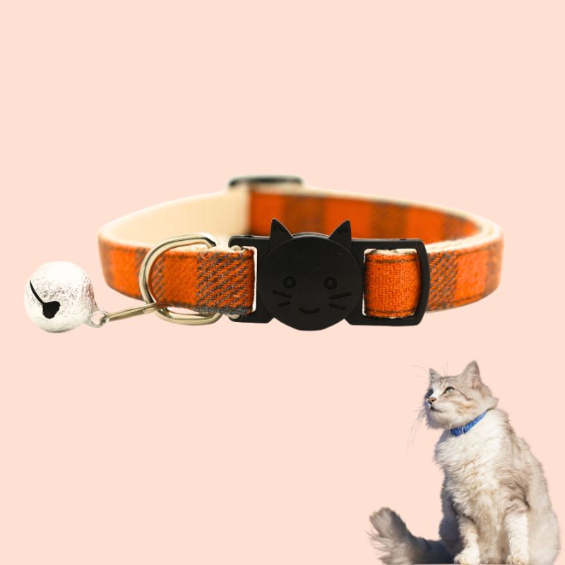 Collier pour chat | ChatChic™