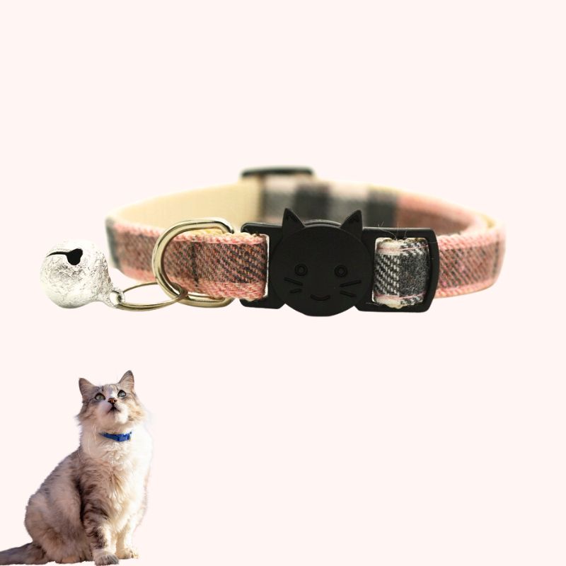 Collier pour chat | ChatChic™