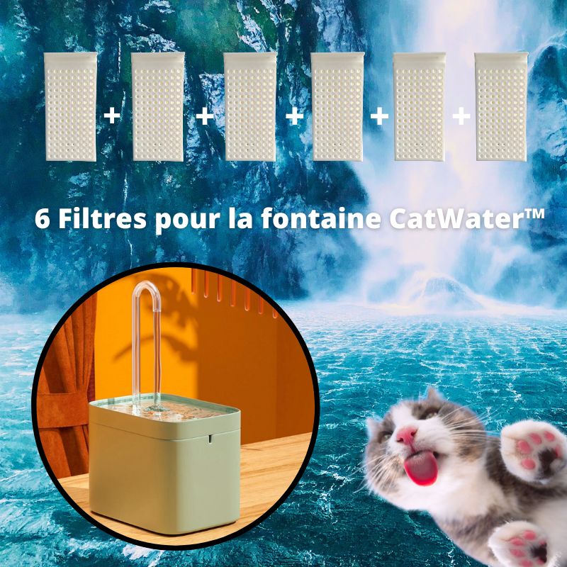 Filtres pour fontaines AquaMiaou™ et CatWater™