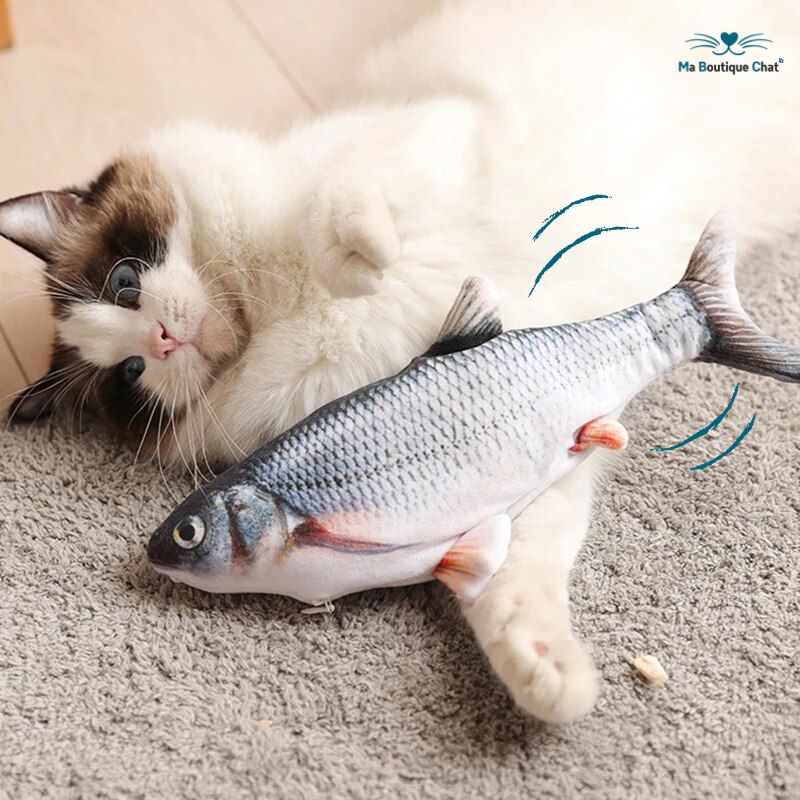 Peces para Gato | CatsFish™