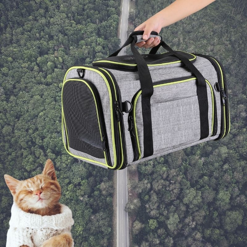 Sac de transport pour chat | MiaouCamp™