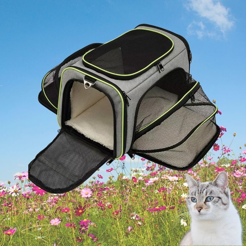 Sac de transport pour chat | MiaouCamp™