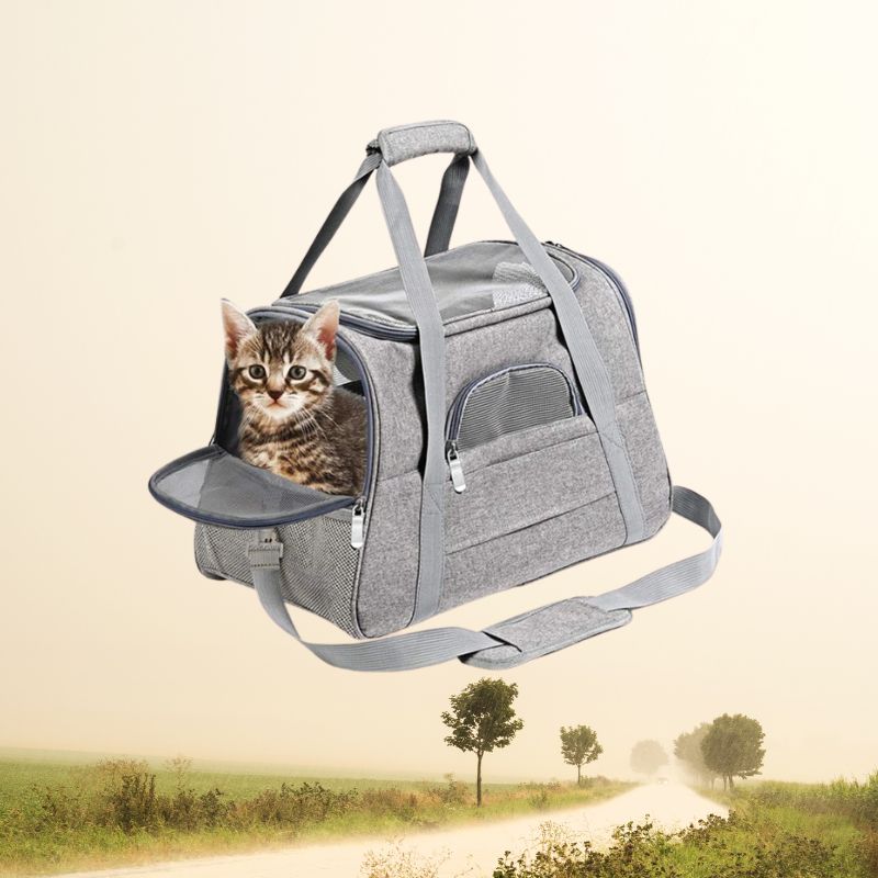 Sac de transport pour chat | CatsBag™