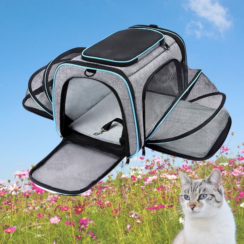 Sac de transport pour chat | MiaouCamp™