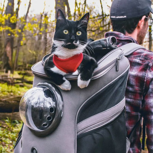 Sac de transport pour chat | CosmosCat™