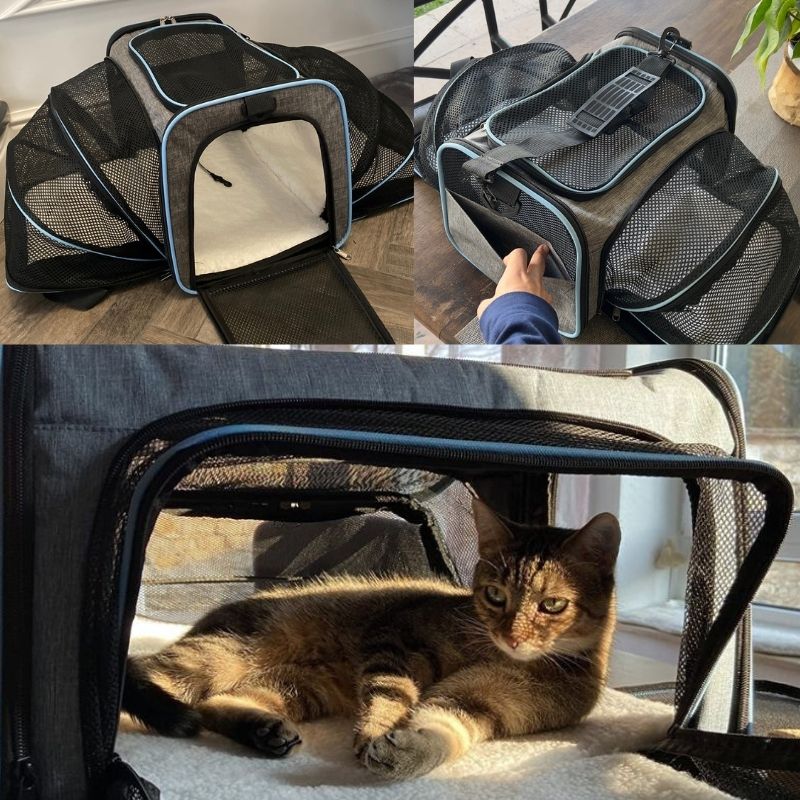 Sac de transport pour chat | MiaouCamp™